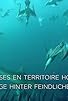 Primary photo for Chasses en territoire hostile
