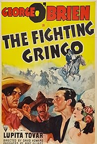 Primary photo for The Fighting Gringo Primary photo for The Fighting Gringo