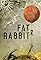 Fat Rabbit's primary photo