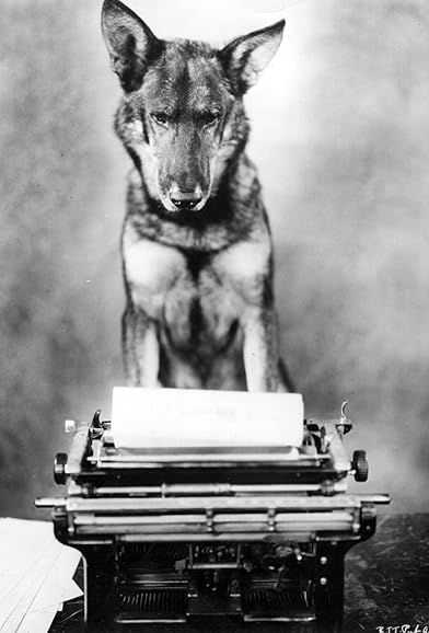Primary photo for Rin Tin Tin Primary photo for Rin Tin Tin