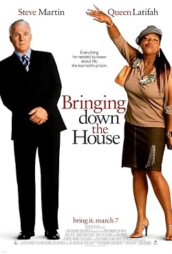 Poster of Bringing Down the House