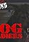 Is this the Best Werewolf Movie Since American Werewolf in London?'s primary photo