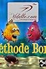 Primary photo for Méthode Boris