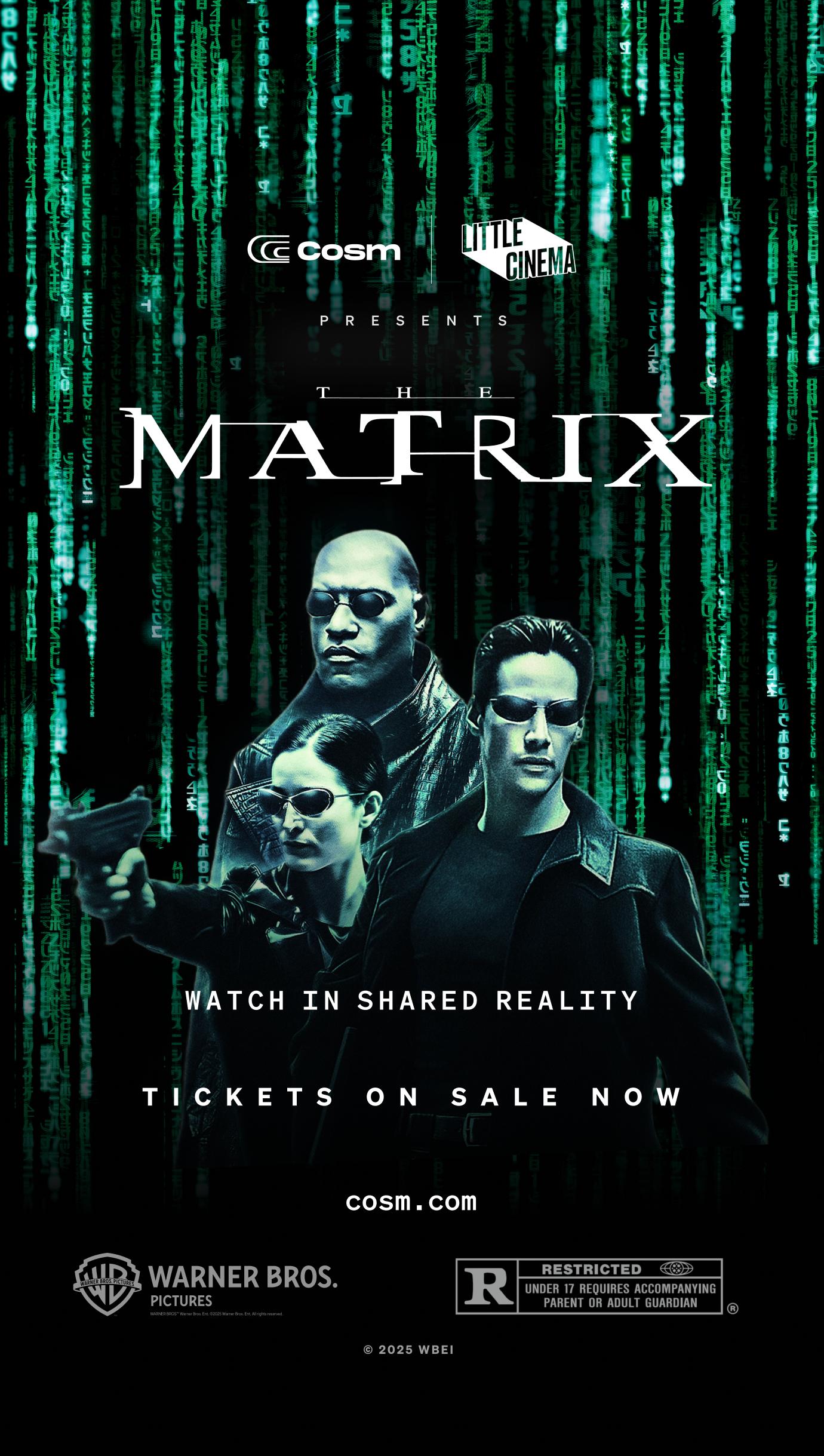 The Matrix in Shared Reality