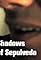 Shadows of Sepulveda's primary photo