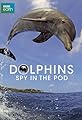 Dolphins: Spy in the Pod's primary photo