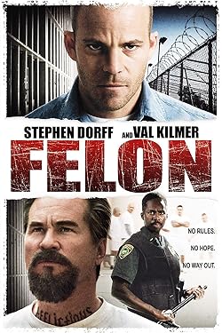 Poster of Felon