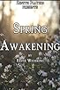 Primary photo for Spring Awakening Primary photo for Spring Awakening