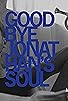 Primary photo for Goodbye Jonathan's Soul