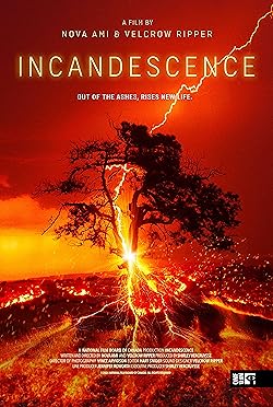 Poster of Incandescence