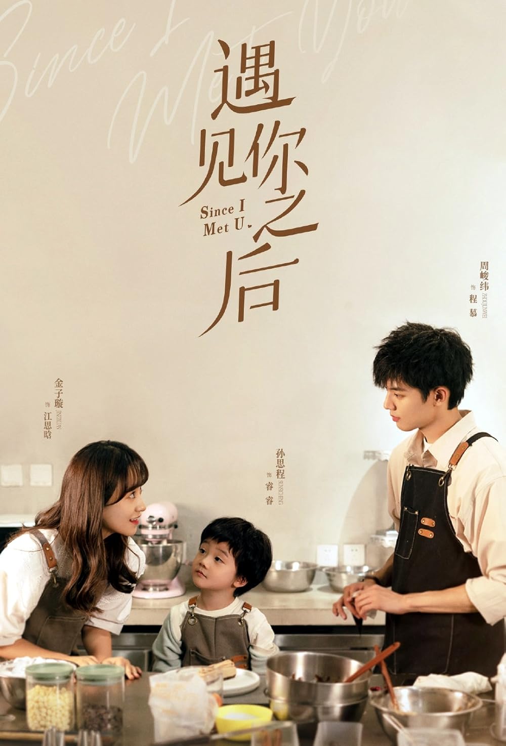 Since I Met You: Season One [Hindi-Chinese]