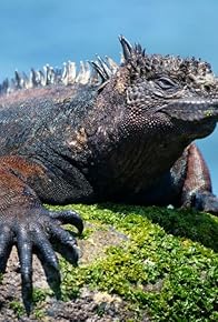 Primary photo for Galapagos