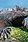 Galapagos's primary photo