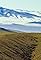 From Deserts to Grasslands's primary photo