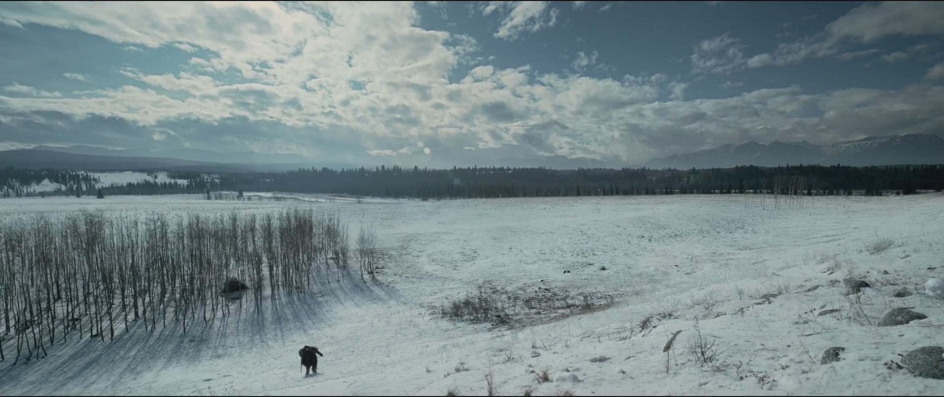 Falta la leyenda de la foto.