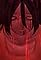 Spoil's primary photo