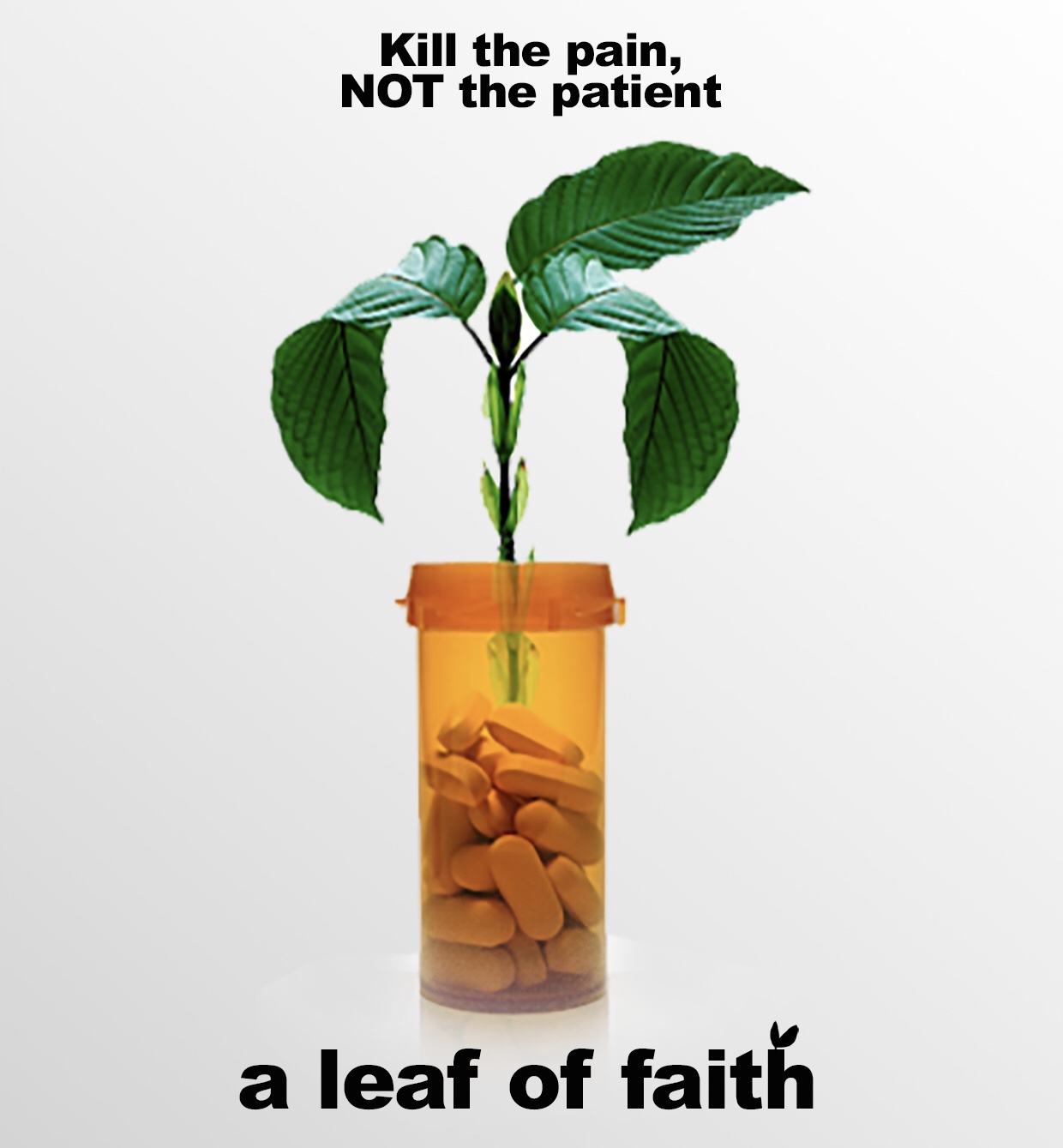 Poster of A Leaf of Faith