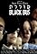 Black Bus's primary photo