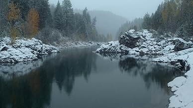 पोस्टर देखें