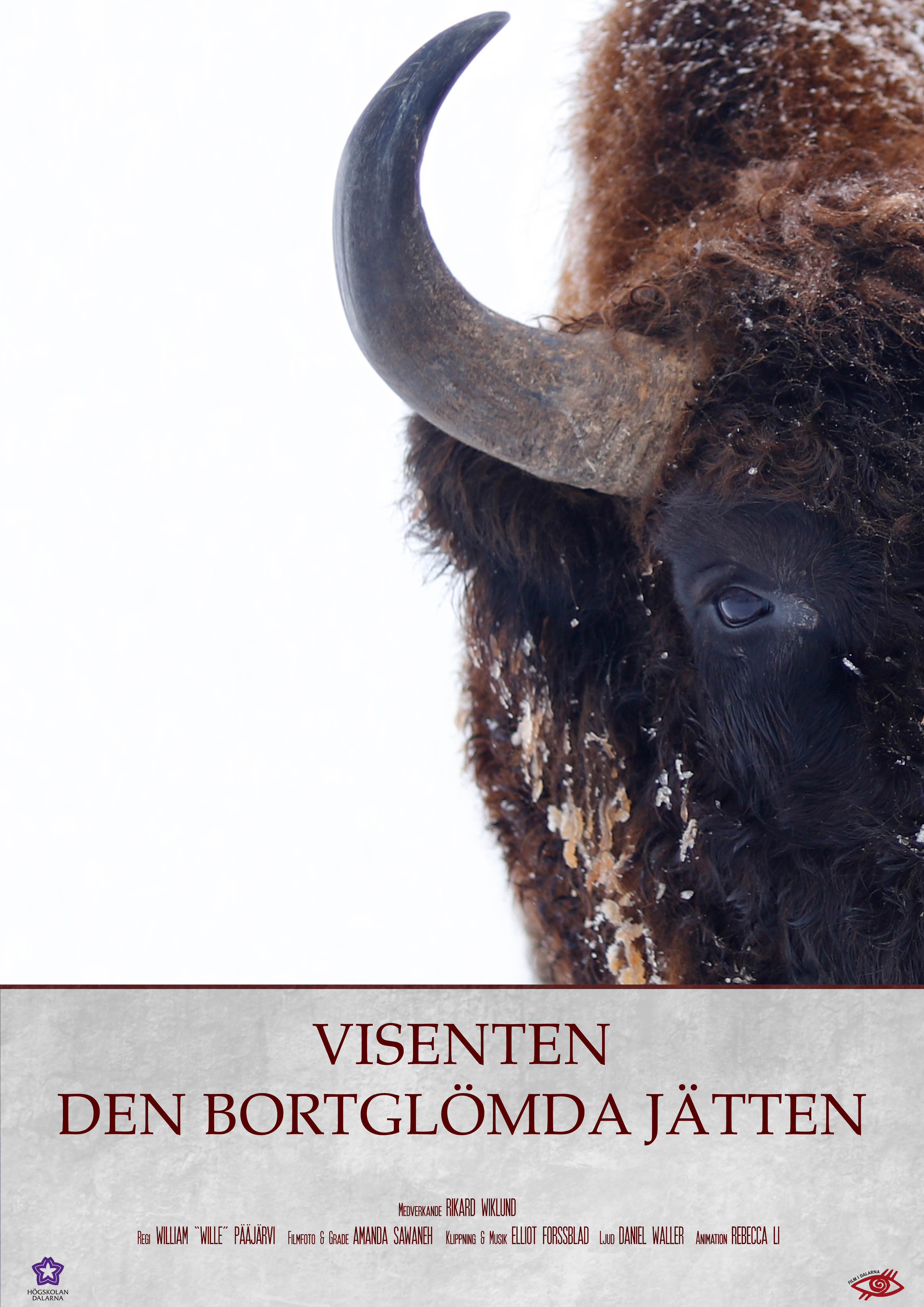 Europe's Forgotten Giants