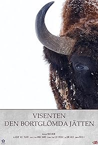 Primary photo for Europe's Forgotten Giants