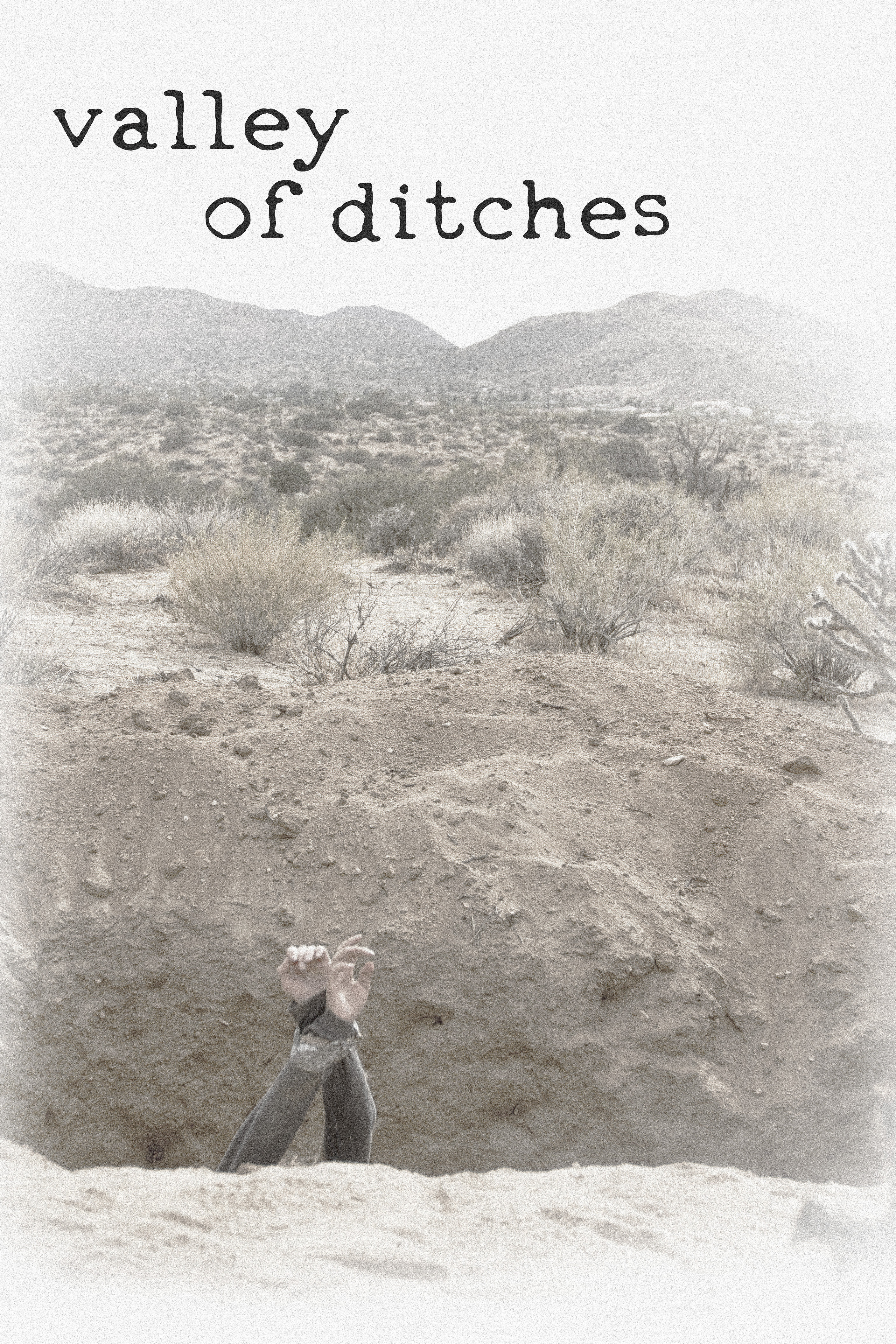 Poster of Valley of Ditches