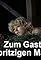 Zum Gasthof der spritzigen Mädchen's primary photo