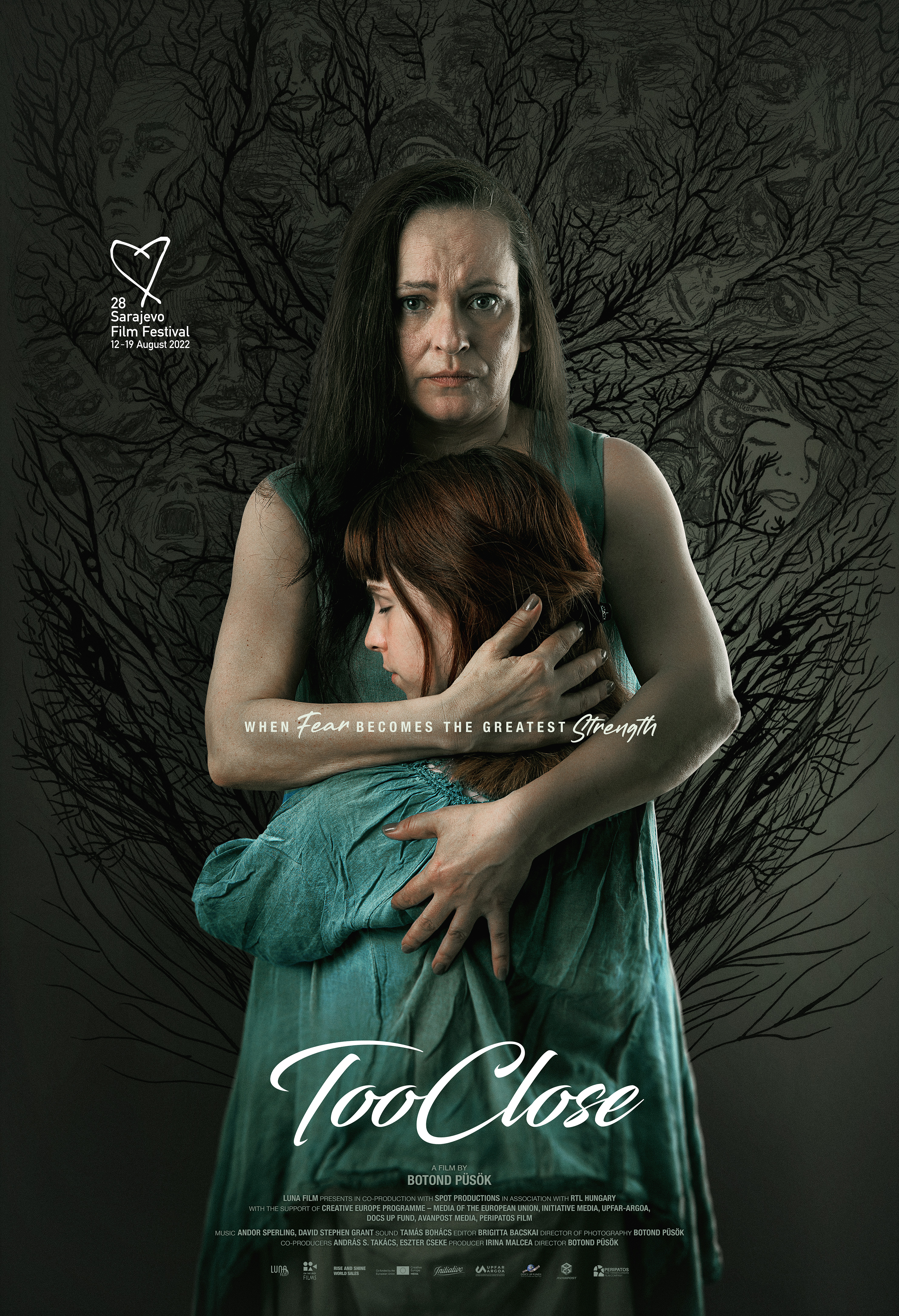 Poster of Too Close/Apropierea