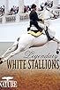 Primary photo for Legendary White Stallions Primary photo for Legendary White Stallions