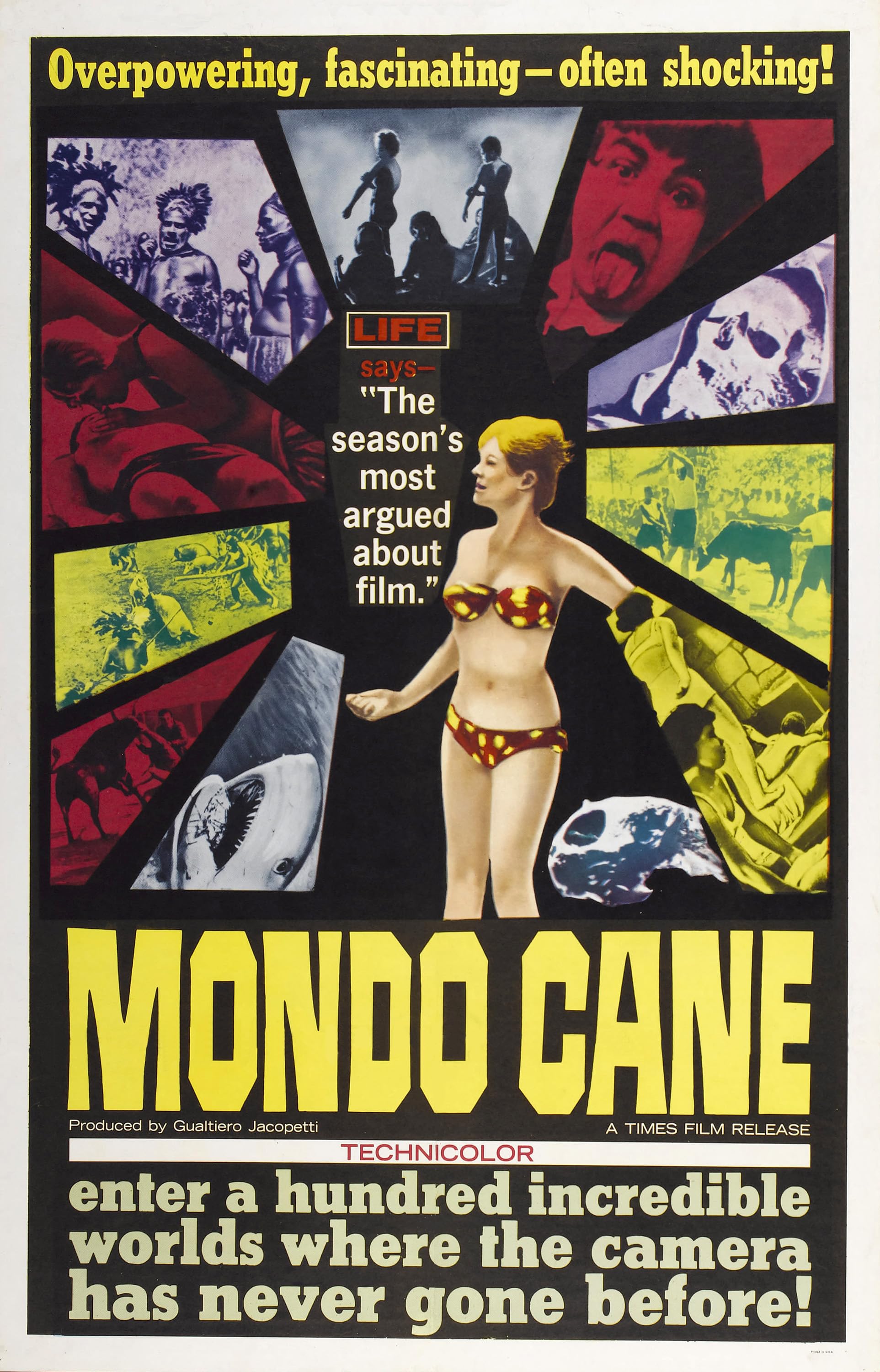 Собачий мир (1962)