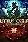 Little Wolf's primary photo