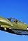 P-40's primary photo
