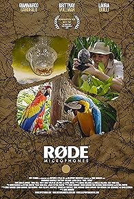 Primary photo for RØDE: Safari
