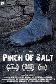 Primary photo for Pinch of Salt