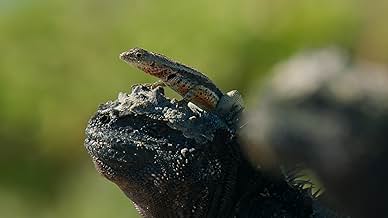 पोस्टर देखें