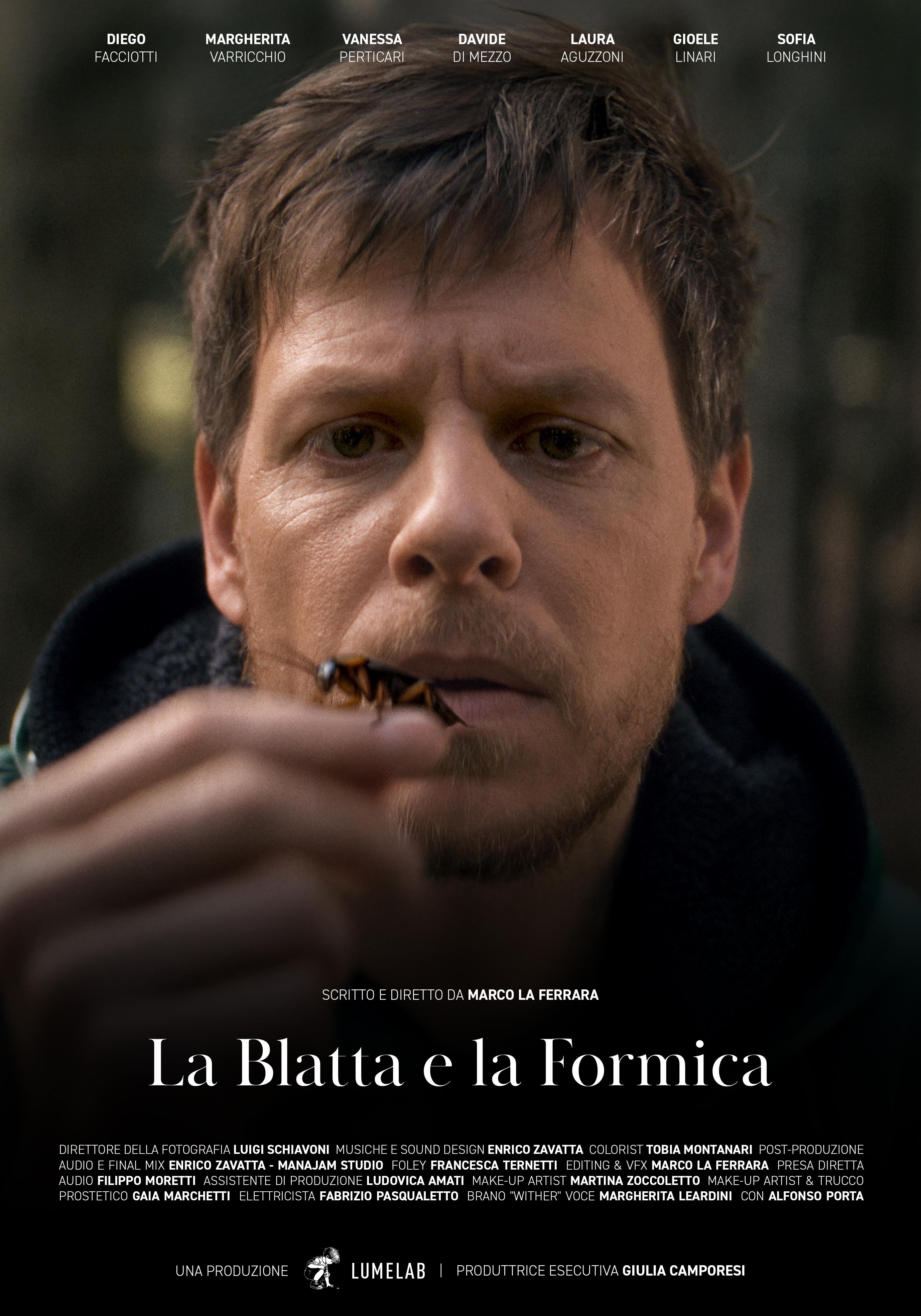 La blatta e la formica