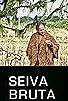 Primary photo for Seiva Bruta Primary photo for Seiva Bruta