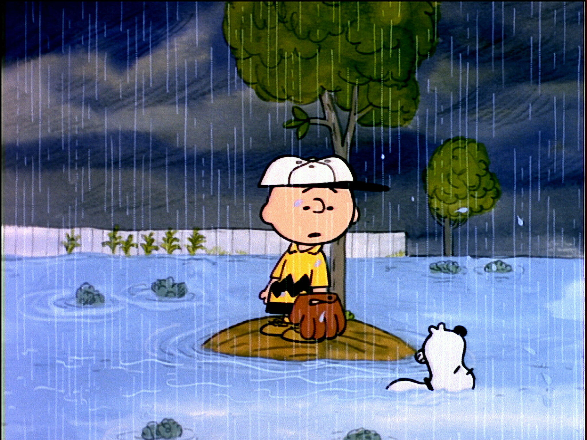It's Arbor Day, Charlie Brown (1976)