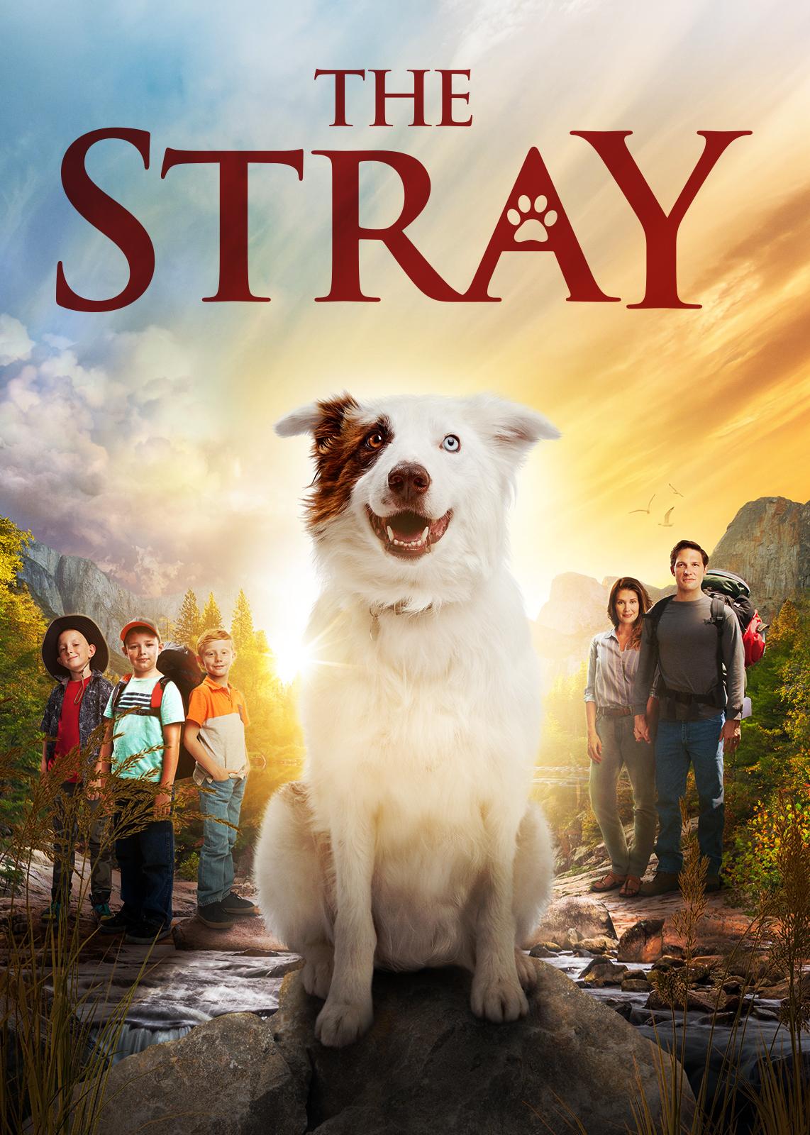 Poster of The Stray