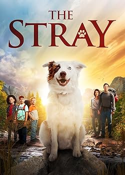 Poster of The Stray