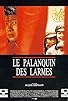 Primary photo for Le palanquin des larmes