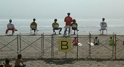 पोस्टर देखें