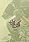 Aljouf SWAT's primary photo