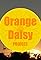 Orange Daisy Project's primary photo