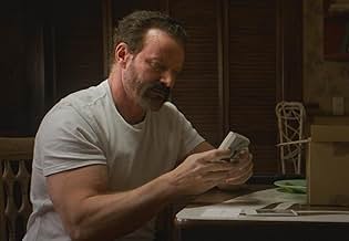 पोस्टर देखें