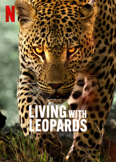 Poster of Living with Leopards