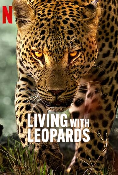 Living with Leopards 2024 movie poster - watch and download free