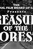 Primary photo for Treasure of the Forest
