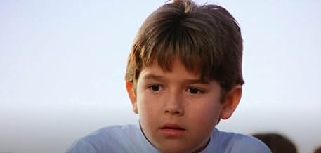 पोस्टर देखें