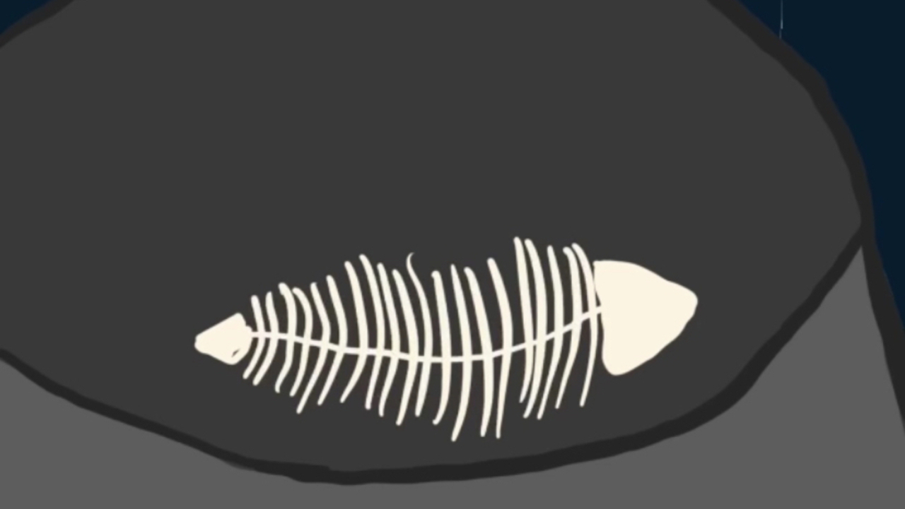 Yellow Cat with blue eyes